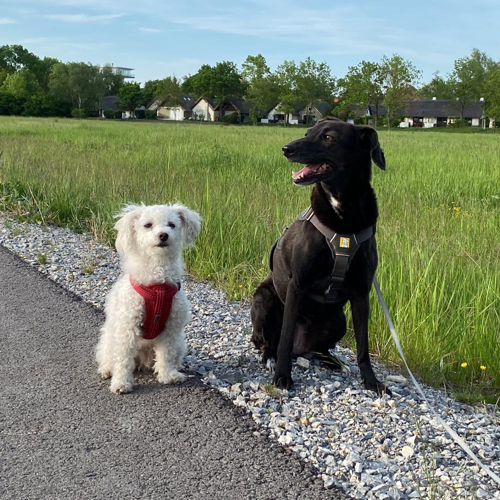 links: unsere kleine Pia, rechts: die 'große' Mara